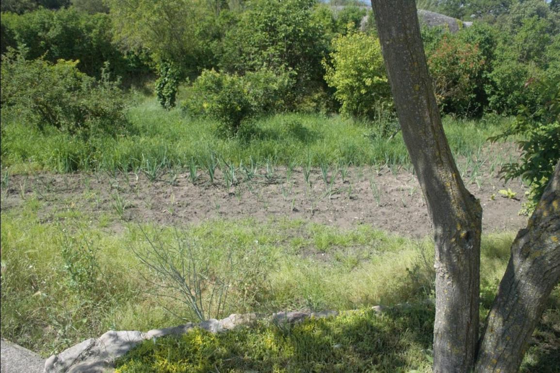 Masoveria La Roca Sagas 外观 照片